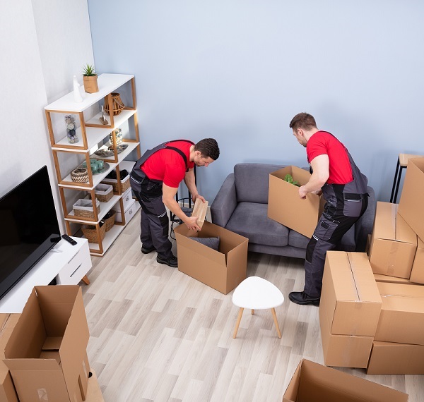 Cairns to Maitland Removalist