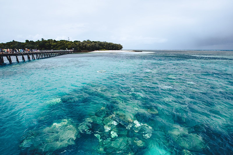 QLD to NT Removalist